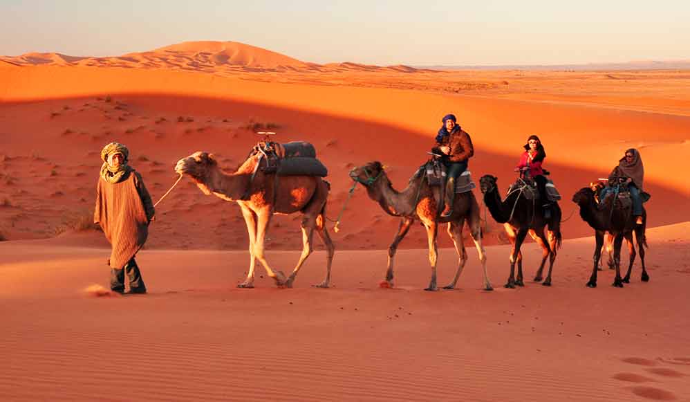 camel-safari--jaisalmer