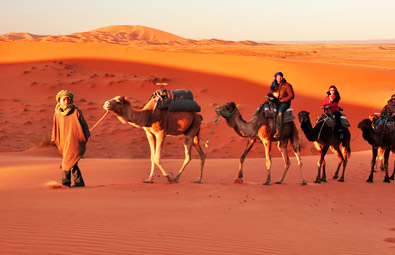 camel-safari-jaisalmer-s